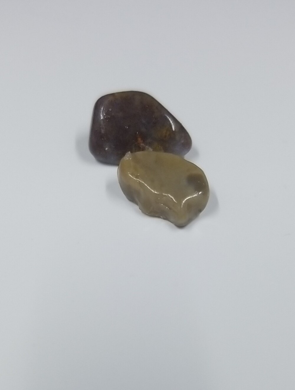 Varnished Rock Specimens - Glossy Lot, Small